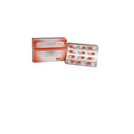 ECCARVIT PLUS 12 CAPSULE ECCARVIT PLUS 12 CAPSULE