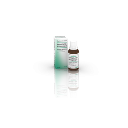 Hamamelis Homaccord Soluzione orale in gocce 30 ml