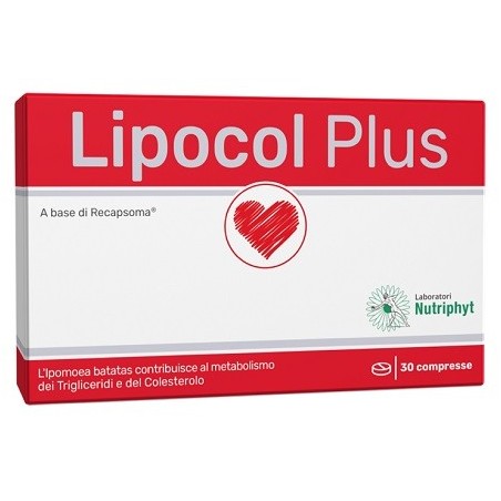 Lipocol Plus integratore a base di recapsoma per trigliceridi e del colesterolo 30 compresse Lipocol Plus integratore a base di recapsoma per trigliceridi e del colesterolo 30 compresse