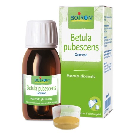 Boiron Betula pubescens Macerato glicerinato a base di estratti vegetali 60 ml Boiron Betula pubescens Macerato glicerinato a base di estratti vegetali 60 ml