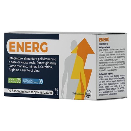 Agips Farmaceutici Energ integratore polivitaminico 10 flaconcini Agips Farmaceutici Energ integratore polivitaminico 10 flaconcini