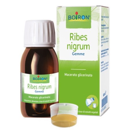 Boiron Ribes Nigrum Macerato Glicerico integratore vegetale 60 ml Boiron Ribes Nigrum Macerato Glicerico integratore vegetale 60 ml