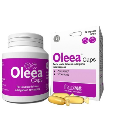 Innovet Italia Oleea Caps integratore per cani e gatti in sovrappeso 60 capsule Innovet Italia Oleea Caps integratore per cani e gatti in sovrappeso 60 capsule