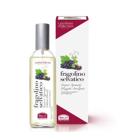 I PROFUMI DELLA CASA FRAGOLINO SELVATICO-FRAGRANZA PER L'AMBIENTE SPRAY 100 ML I PROFUMI DELLA CASA FRAGOLINO SELVATICO-FRAGRANZA PER L'AMBIENTE SPRAY 100 ML