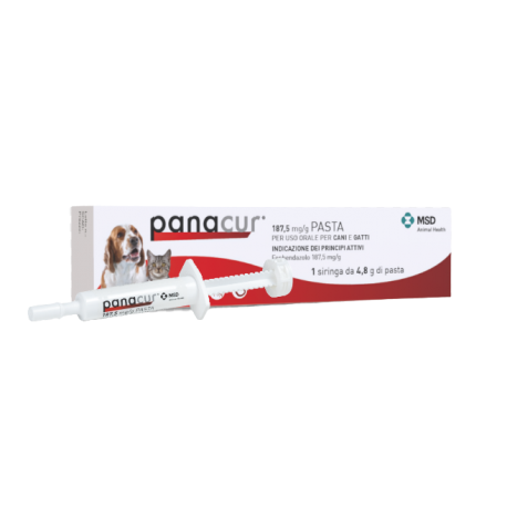 Panacur Pasta 187mg/g - Pasta per uso orale per cani e gatti 1 siringa