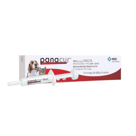 Panacur Pasta 187mg/g - Pasta per uso orale per cani e gatti 1 siringa Panacur Pasta 187mg/g - Pasta per uso orale per cani e gatti 1 siringa