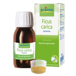 Ficus Carica Gemme - Macerato Glicerinato 60 ml