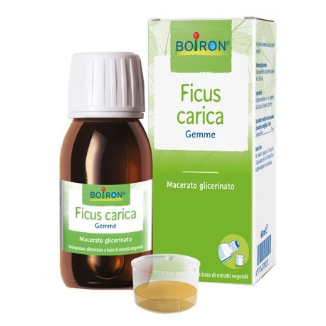 Ficus Carica Gemme - Macerato Glicerinato 60 ml