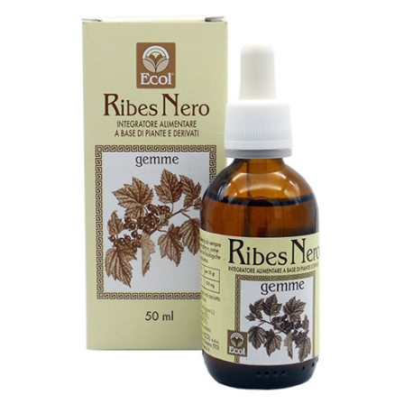 Ribes Nero Gemme 50 ml