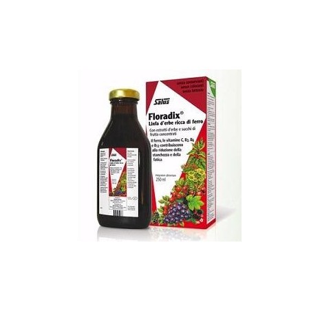 Floradix 500 ml - Integratore Ricostituente con Ferro e Vitamine Floradix 500 ml - Integratore Ricostituente con Ferro e Vitamine