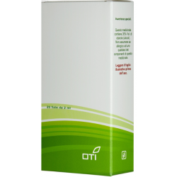 ANTI CD 21*06 LM Potenziata Liquida 20 fiale 2 ml soluzioneidroalcolica per mucosa orale