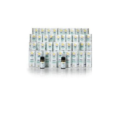 Nomabit Elm fiori di Bach in globuli per stanchezza mentale 6 dosi da 1g Nomabit Elm fiori di Bach in globuli per stanchezza mentale 6 dosi da 1g