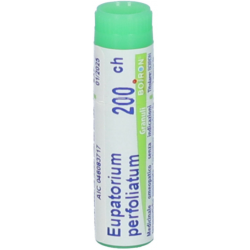 EUPATORIUM PERFOLIATUM*granuli 200 CH contenitore monodose