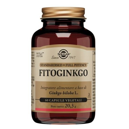 Solgar Fito Ginkgo integratore energizzante 60 capsule vegetali Solgar Fito Ginkgo integratore energizzante 60 capsule vegetali