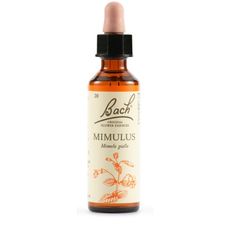 Schwabe Pharma Mimulus Fiori di Bach per superare con sicurezza le difficoltà della vita 20 ml Schwabe Pharma Mimulus Fiori di Bach per superare con sicurezza le difficoltà della vita 20 ml