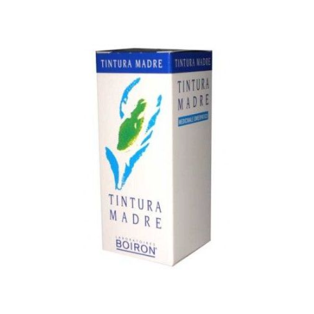 CARDUUS MARIANUS TINTURA MADRE 60 ML CARDUUS MARIANUS TINTURA MADRE 60 ML