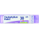 CAULOPHYLLUM THALICTROIDES*80 granuli 30 CH contenitore multidose