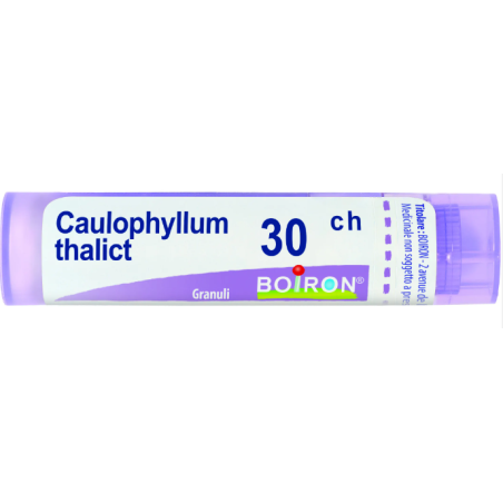 CAULOPHYLLUM THALICTROIDES*80 granuli 30 CH contenitore multidose CAULOPHYLLUM THALICTROIDES*80 granuli 30 CH contenitore multidose