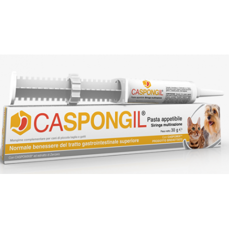 CASPONGIL PASTA 30 G