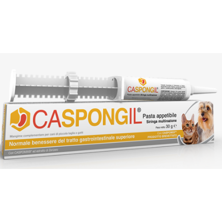 CASPONGIL PASTA 30 G CASPONGIL PASTA 30 G