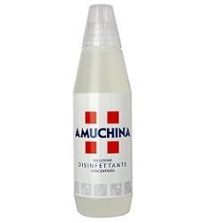 Amuchina Igienizzante 1000 ml