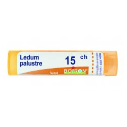 LEDUM PALUSTRE 15 CH GRANULI