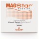 Stardea Magstar integratore per il benessere muscolare 20 bustine 3,5 g