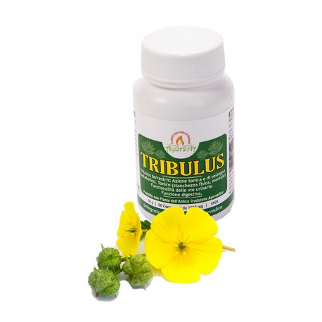 Bliss Ayurveda Ayurera Tribulus 60 compresse - Integratore ayurvedico