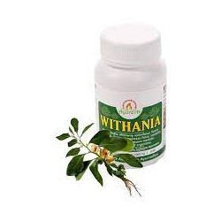 Bliss Ayurveda Ayurera Withania 60 compresse - Integratore ayurvedico