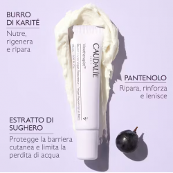 Caudalie Vinotherapist Balsamo Labbra Vegan Riparatore labbra secche e screpolate 7,5 g Caudalie Vinotherapist Balsamo Labbra Vegan Riparatore labbra secche e screpolate 7,5 g
