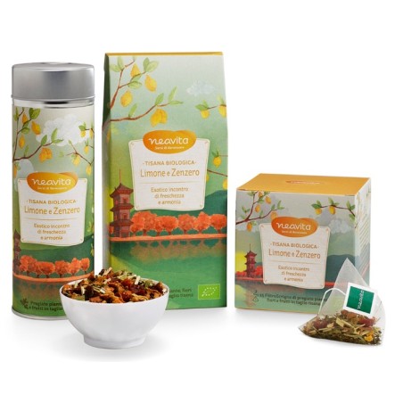 SILVER TIN LIMONE E ZENZERO BIO 80 G