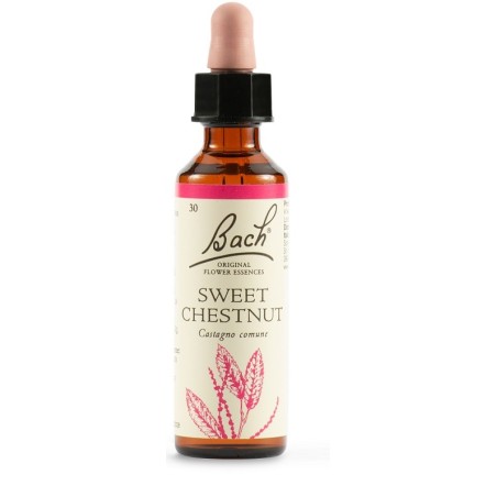 Schwabe Pharma Sweet Chest Fiori di Bach per ritrovare la speranza 20 ml Schwabe Pharma Sweet Chest Fiori di Bach per ritrovare la speranza 20 ml