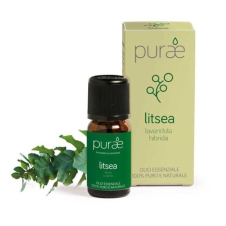 Purae Litsea olio essenziale biologico agrumato fruttato 10 ml Purae Litsea olio essenziale biologico agrumato fruttato 10 ml