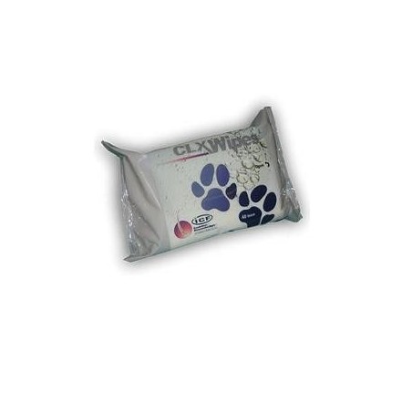 CLX WIPES 40 SALVIETTE CLX WIPES 40 SALVIETTE