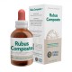 Forza Vitale Ecosol Rubus composto gocce 50 ml