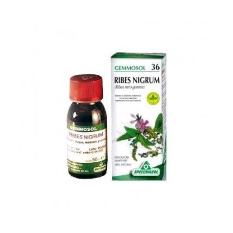 Specchiasol Gemmosol 36 Ribes Nero macerato glicolico 100 ml