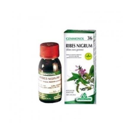 Specchiasol Gemmosol 36 Ribes Nero macerato glicolico 100 ml Specchiasol Gemmosol 36 Ribes Nero macerato glicolico 100 ml