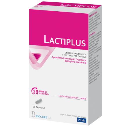 Biocure Lactiplus integratore probiotico per flora intestinale 56 capsule Biocure Lactiplus integratore probiotico per flora intestinale 56 capsule