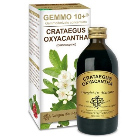 Gemmo 10+ Biancospino 200 ml – Integratore cardiovascolare Gemmo 10+ Biancospino 200 ml – Integratore cardiovascolare