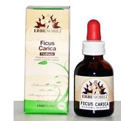 Fitoblasto Ficus Carica 50 ml per la funzionalità gastro intestinale