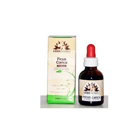 Fitoblasto Ficus Carica 50 ml per la funzionalità gastro intestinale