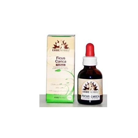 Fitoblasto Ficus Carica 50 ml per la funzionalità gastro intestinale Fitoblasto Ficus Carica 50 ml per la funzionalità gastro intestinale