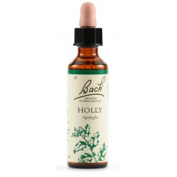 Schwabe Pharma Holly Fiori di Bach contro la gelosia eccessiva 20 ml