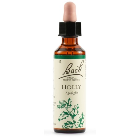 Schwabe Pharma Holly Fiori di Bach contro la gelosia eccessiva 20 ml Schwabe Pharma Holly Fiori di Bach contro la gelosia eccessiva 20 ml