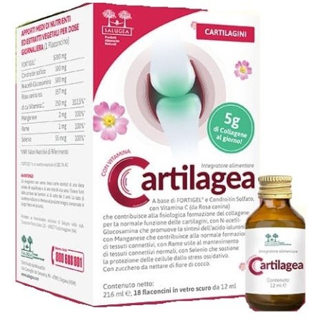 Salugea Cartilagea 18 flaconcini Integratore benessere articolare Salugea Cartilagea 18 flaconcini Integratore benessere articolare