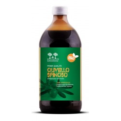 Salugea Succo di Olivello bio 500 ml
