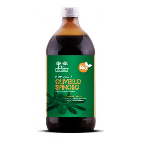 Salugea Succo di Olivello bio 500 ml