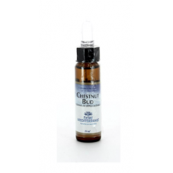 Fiori Mediterranei Chestnut Bud gocce 10 ml