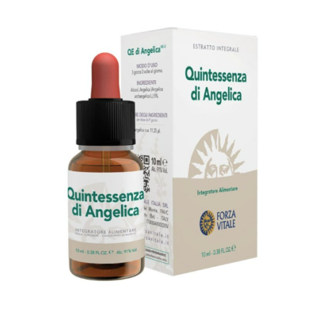 Forza Vitale Ecosol Quintessenza di Angelica gocce 10 ml Forza Vitale Ecosol Quintessenza di Angelica gocce 10 ml
