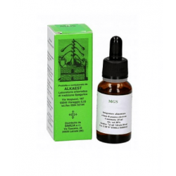 MGS4 BIANCOSPINO MACERATO GLICERICO SPG 20 ML